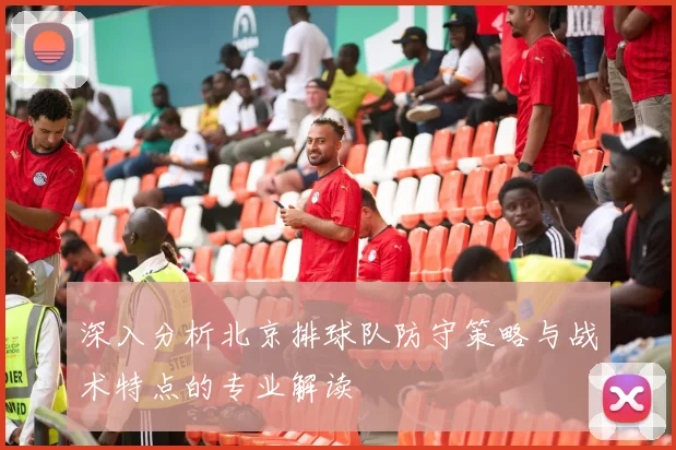 深入分析北京排球队防守策略与战术特点的专业解读