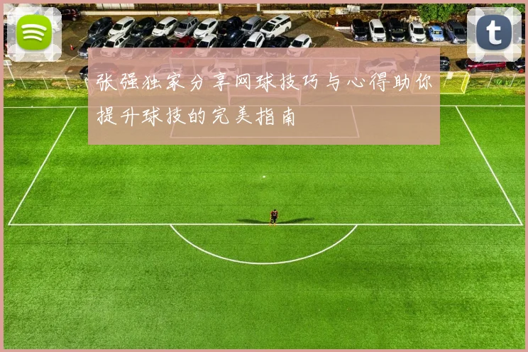张强独家分享网球技巧与心得助你提升球技的完美指南
