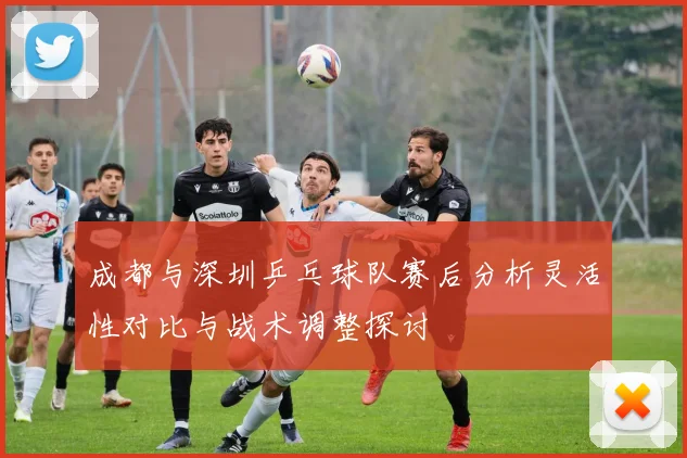 成都与深圳乒乓球队赛后分析灵活性对比与战术调整探讨