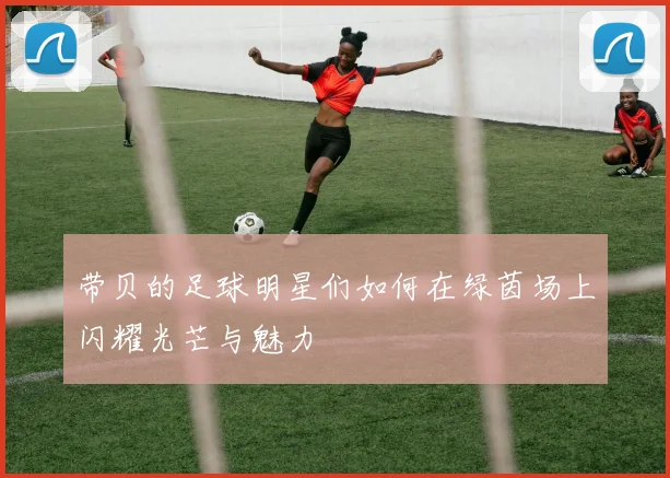 带贝的足球明星们如何在绿茵场上闪耀光芒与魅力