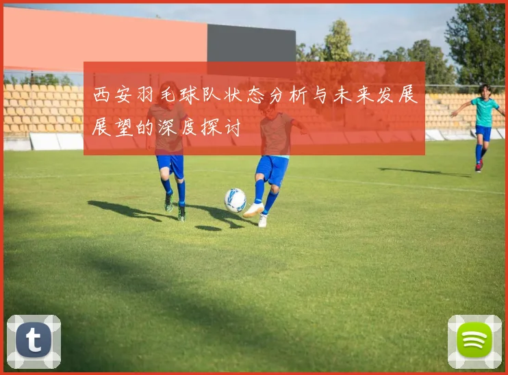 西安羽毛球队状态分析与未来发展展望的深度探讨