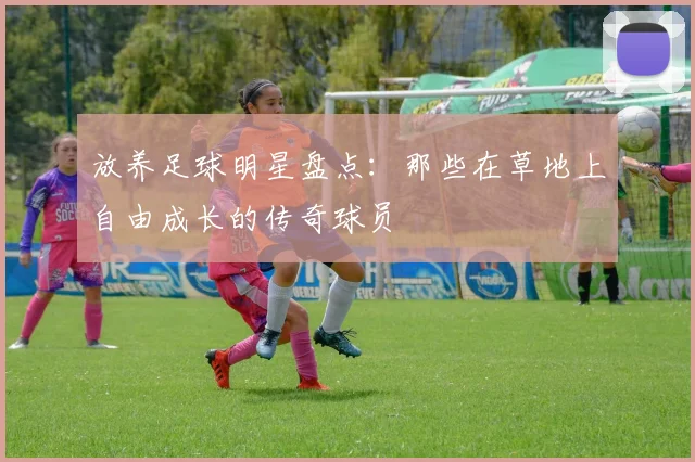 放养足球明星盘点：那些在草地上自由成长的传奇球员