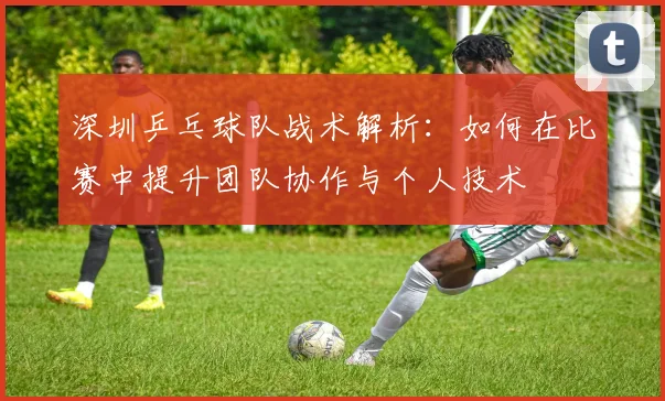 深圳乒乓球队战术解析：如何在比赛中提升团队协作与个人技术
