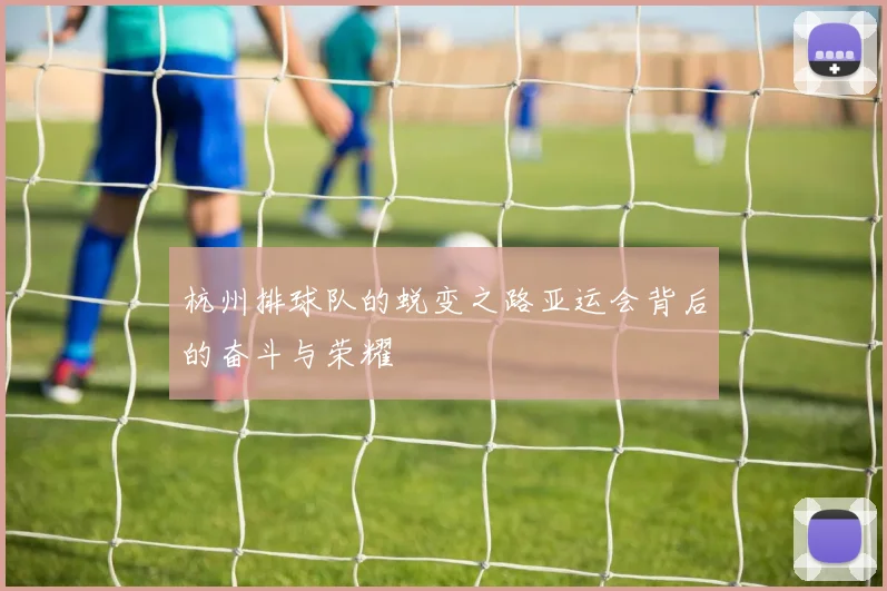 杭州排球队的蜕变之路亚运会背后的奋斗与荣耀