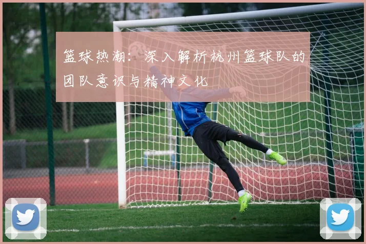 篮球热潮：深入解析杭州篮球队的团队意识与精神文化