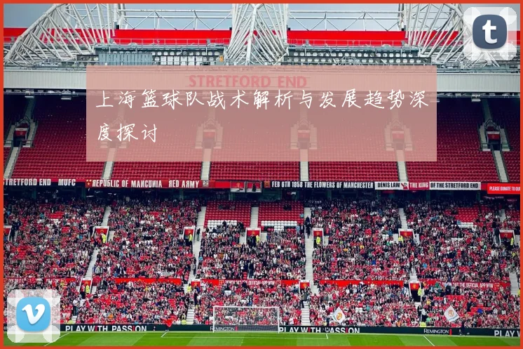 上海篮球队战术解析与发展趋势深度探讨