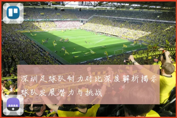 深圳足球队耐力对比深度解析揭示球队发展潜力与挑战