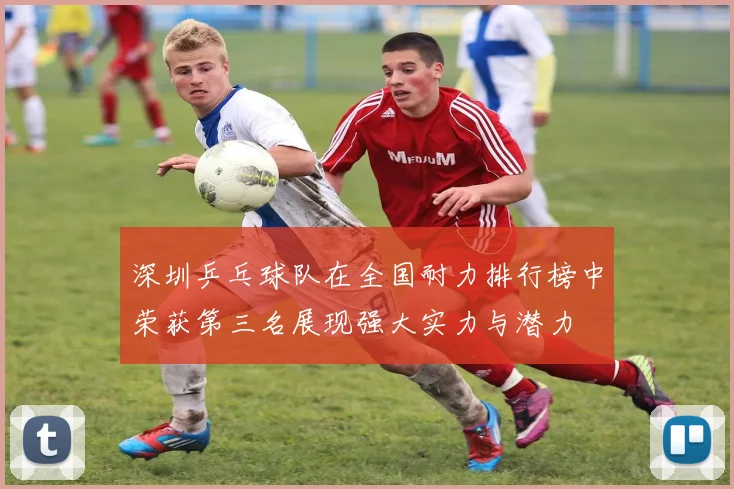 深圳乒乓球队在全国耐力排行榜中荣获第三名展现强大实力与潜力