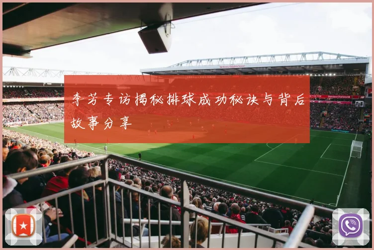 李芳专访揭秘排球成功秘诀与背后故事分享