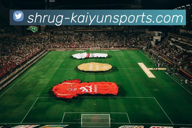 开云集团平台生态图