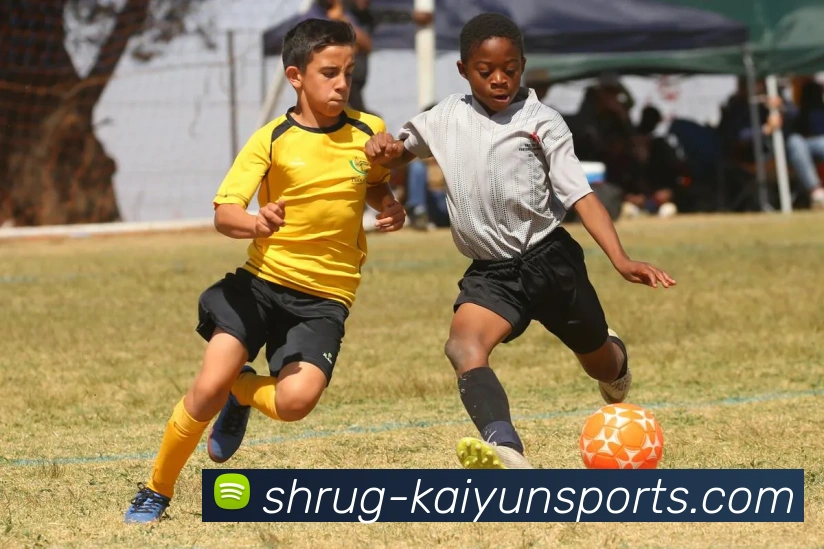 开云集团APP 封面图